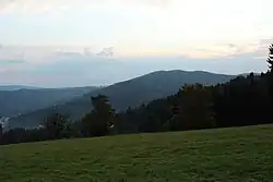 Buková z Mariánské Hory