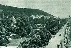 Černobílá fotografie zachycuje pohled na park plný vzrostlých listnatých stromů. Při pravém okraji snímku je vidět silniční komunikace s několika vozidly