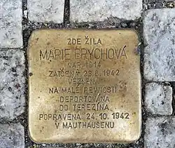 Marie Brychová mladší[11]