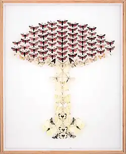 Marie Jirásková, Motýlomůrky, 2016