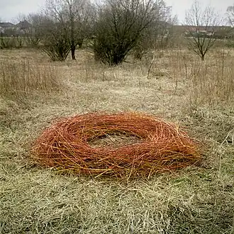 Marie Jirásková, Cyklus Kruhy, vrbové proutí, 2014