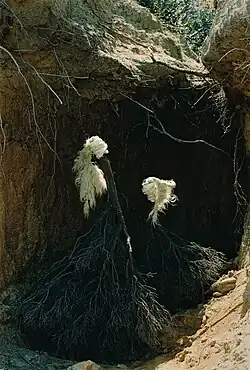 Marie Jirásková, Tanečnice, instalace, Ostrov Rab, 1997