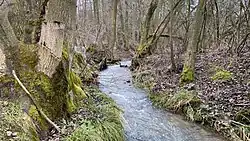 Markovický potok pod Dubincem