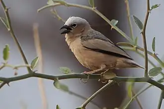 alternativní popis obrázku chybí