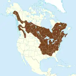 Areál rozšíření