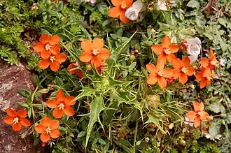 alternativní popis obrázku chybí