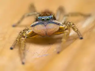 alternativní popis obrázku chybí