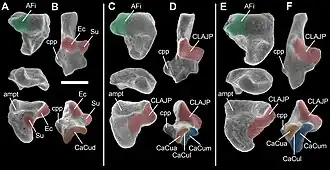 alternativní popis obrázku chybí