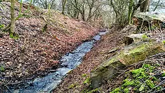 Potok před vtokem do pískovcového údolí.