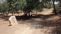 Masarykův les (červen 2023)