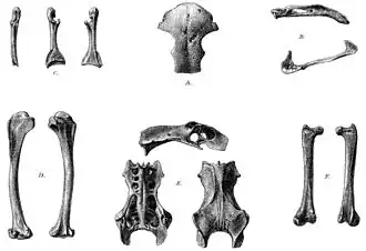 alternativní popis obrázku chybí