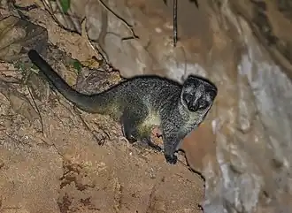 alternativní popis obrázku chybí