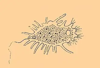 alternativní popis obrázku chybí