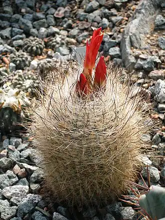 alternativní popis obrázku chybí