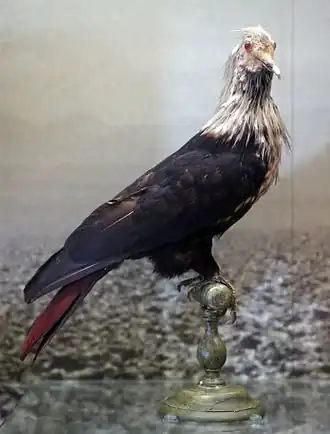 alternativní popis obrázku chybí