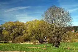 Meandry Chvalšinského potoka při pohledu od obce Křenov