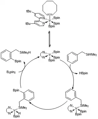 Mechanismus borylace pomocí hydrosilanu
