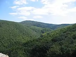 Typická krajina v pohoří Mecsek