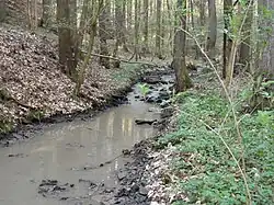 Hluboké údolí mezi obcemi Lomec a Třebonín
