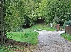 Lesní cesta v Osinaličkách