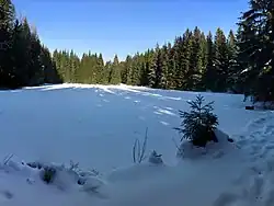 Jelení jezírko na JV svahu