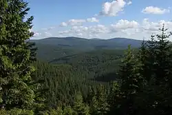 Medvědská hornatina z Pradědu