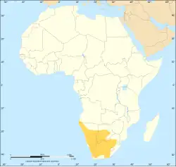 výskyt surikaty (znázorněn žlutě)