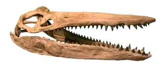 alternativní popis obrázku chybí