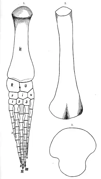 alternativní popis obrázku chybí