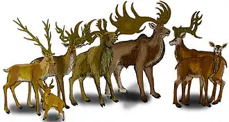 alternativní popis obrázku chybí