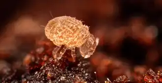 popis obrázku chybí