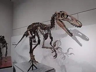 alternativní popis obrázku chybí