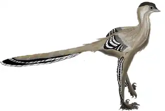 alternativní popis obrázku chybí