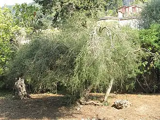 alternativní popis obrázku chybí