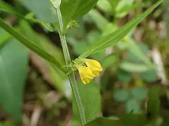 alternativní popis obrázku chybí