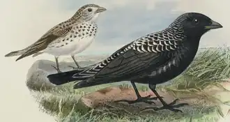 alternativní popis obrázku chybí