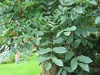 alternativní popis obrázku chybí