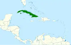 Areál rozšíření