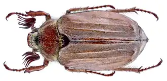 alternativní popis obrázku chybí