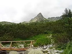 Mengusovsky Volovec od Žabiho potoka