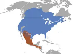 Areál rozšíření