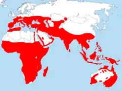 rozšíření vlhovitých