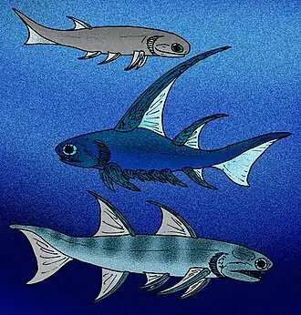 alternativní popis obrázku chybí