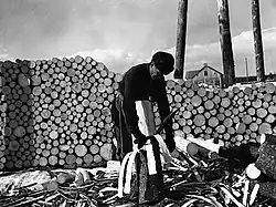 Opalování dřeva opalovací žehličkou, Urjala, 1934