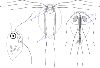 alternativní popis obrázku chybí