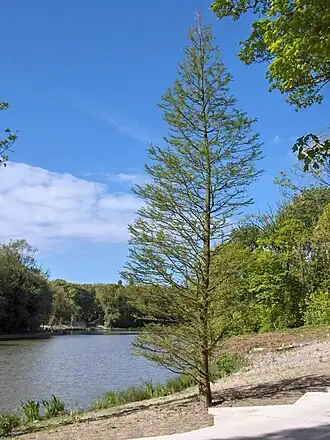 alternativní popis obrázku chybí