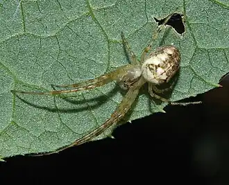 alternativní popis obrázku chybí