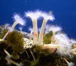 alternativní popis obrázku chybí