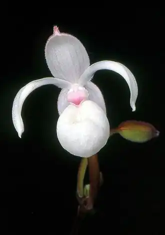 alternativní popis obrázku chybí