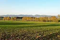 Meziměstská vrchovina na podzim